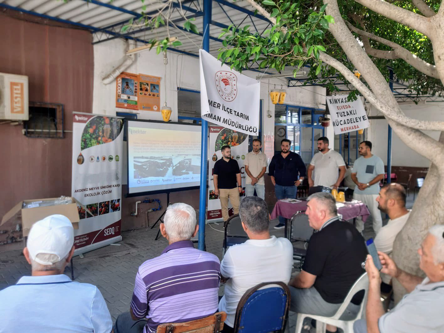 KEMER’DE AKDENİZ MEYVE SİNEĞİNE KARŞI TOPLU MÜCADELE BAŞLADI
